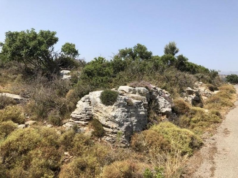 Gerani bei Rethymno Kreta, Gerani: Erstklassiges Grundstück mit Meerblick nahe Rethymno zu verkaufen Grundstück kaufen